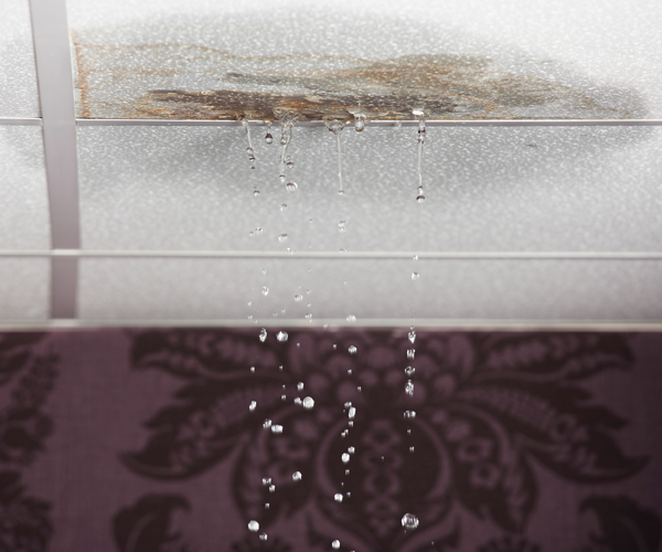 White ceiling tiles with a water stain and drops of water falling down.