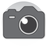 Gray camera 