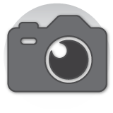 Gray camera