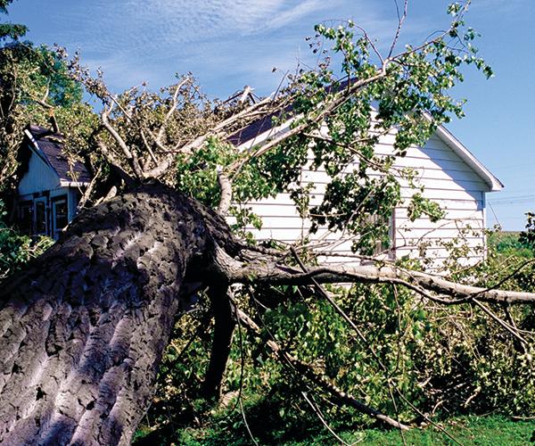 A large tree shown fallen on to a white house.