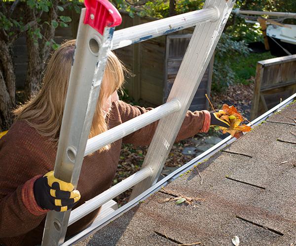 A person standing on a ladder is holding on to the ladder with one hand and tree leaves in the other.