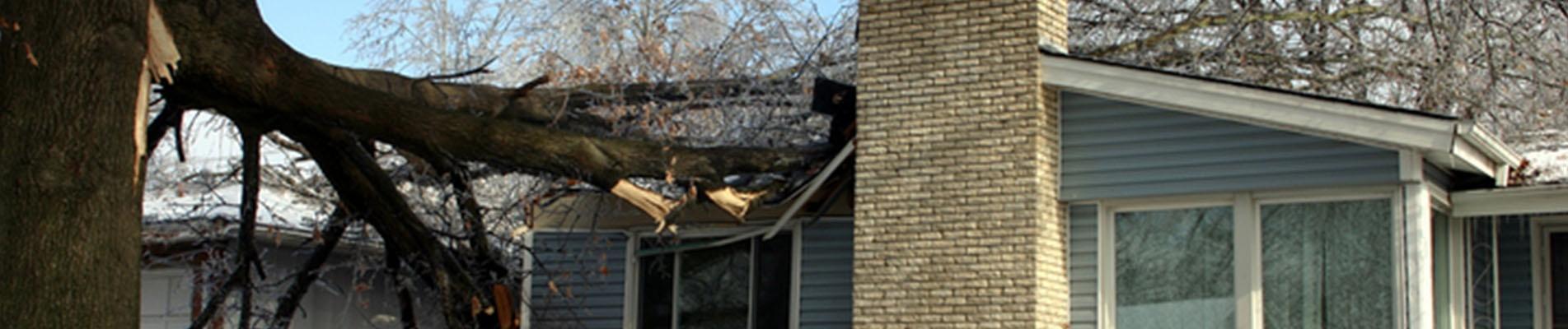 Banner_February_Home Insurance_1903x400.jpg