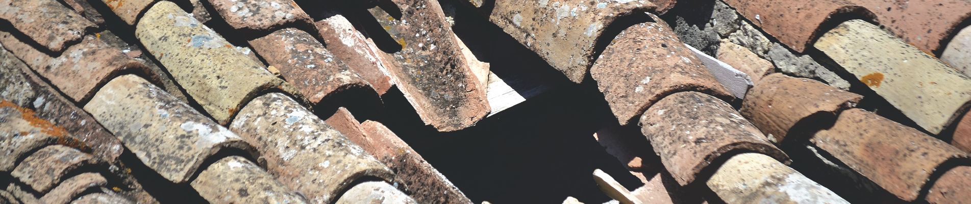 Roof Banner (18).png