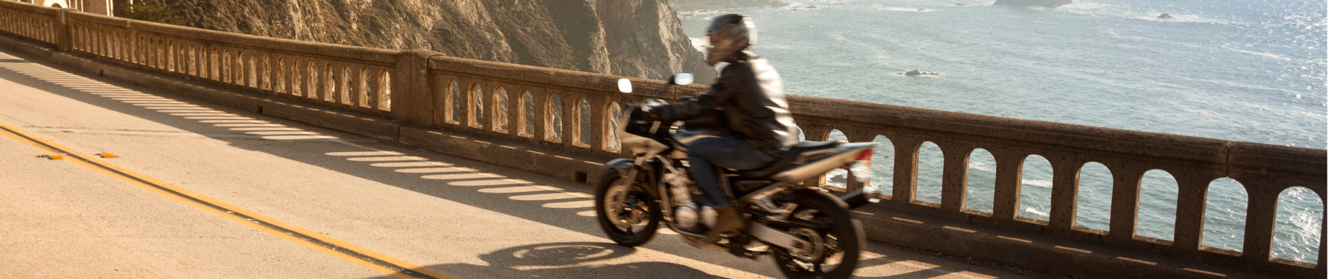 march 2026 header (1).png