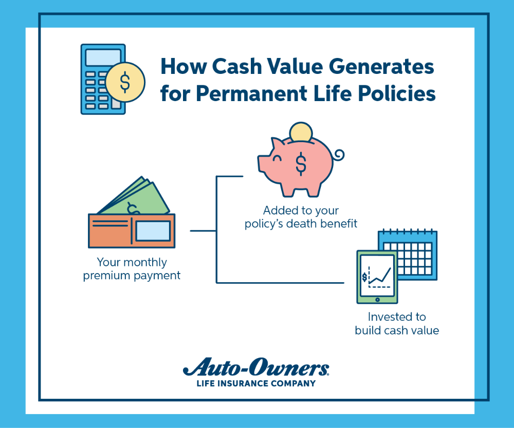 life insurance cash value statement